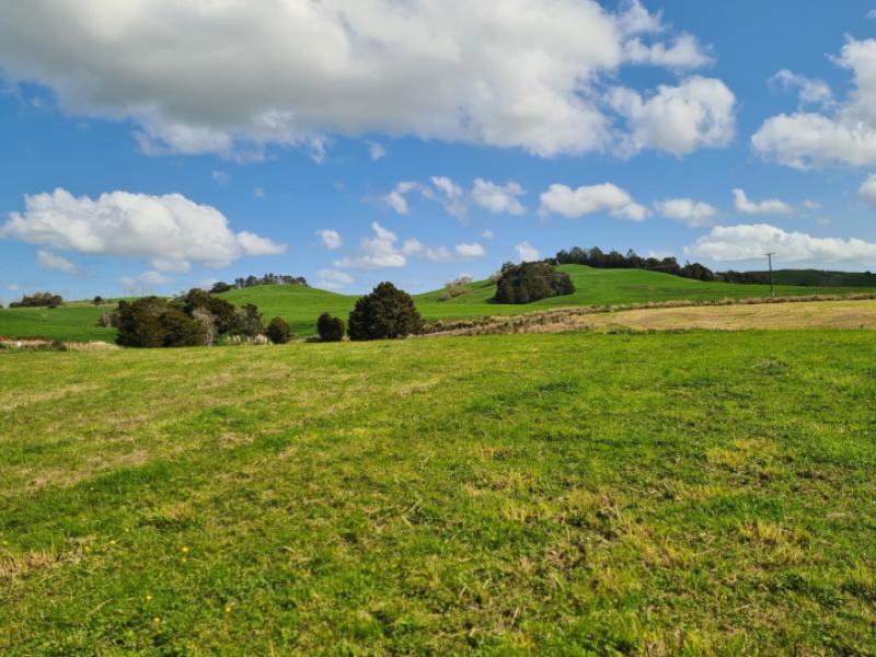 lot-3-dodd-road-maungaturoto