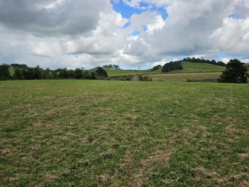 lot-4-dodd-road-maungaturoto