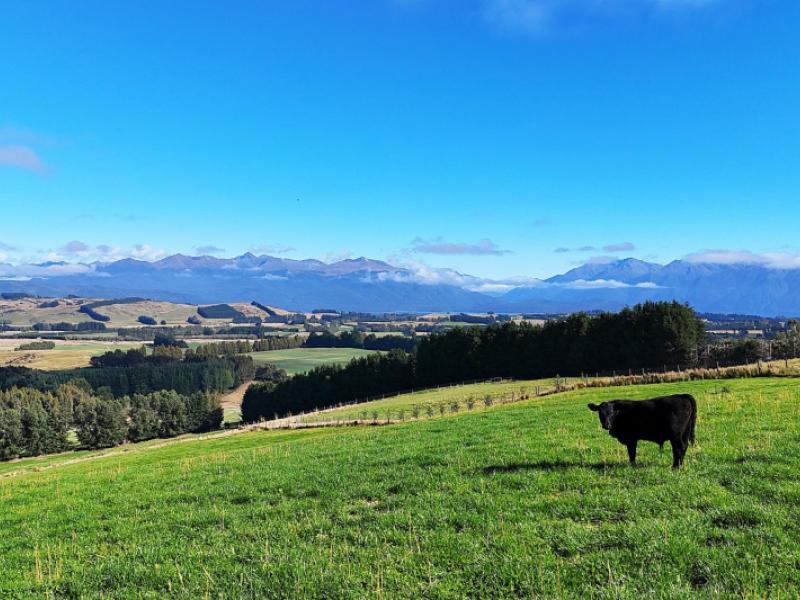 126-ridgedale-road-te-anau