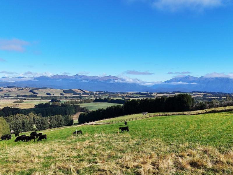 126-ridgedale-road-te-anau
