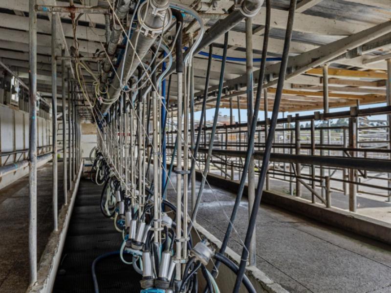 379b-powdrell-road-awakeri