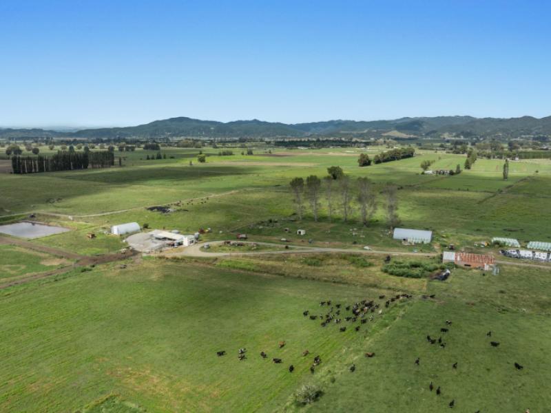 379b-powdrell-road-awakeri