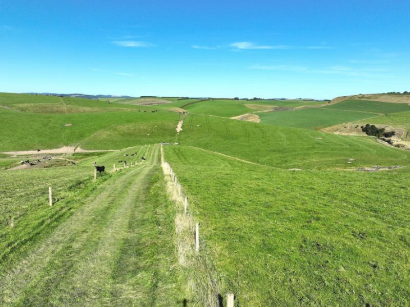 269-oakland-road-mataura-island