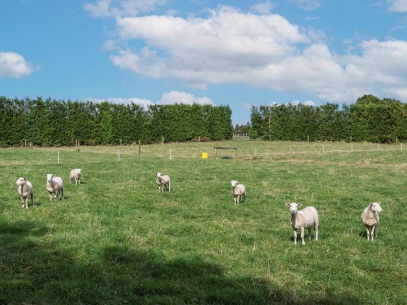 865b-oropi-road-oropi