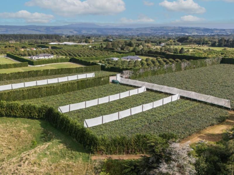 865b-oropi-road-oropi