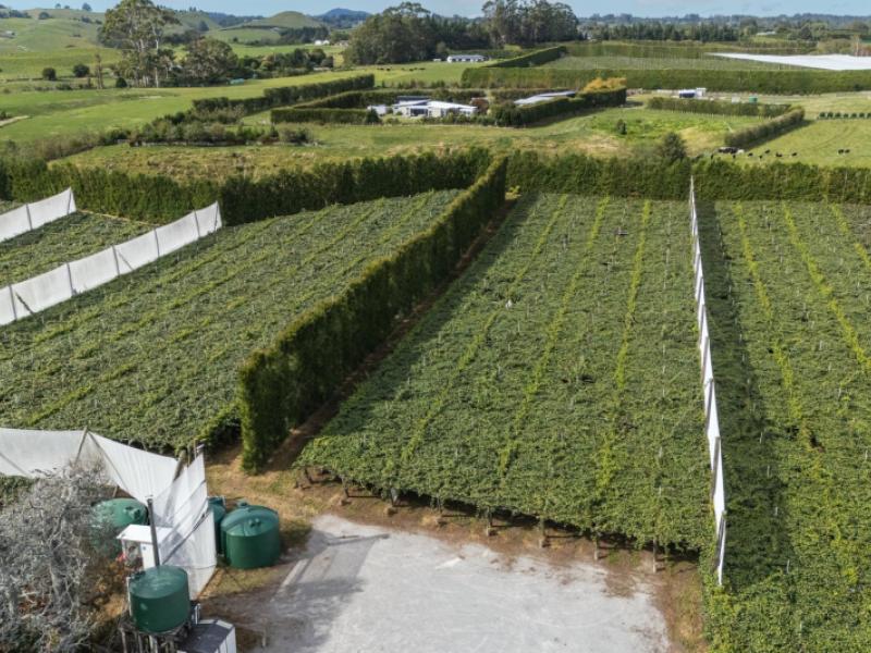 865b-oropi-road-oropi