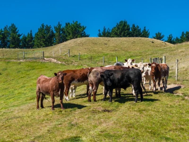 363-caseys-road-blind-river