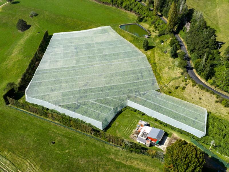 1151-oreipunga-road-maungatautari