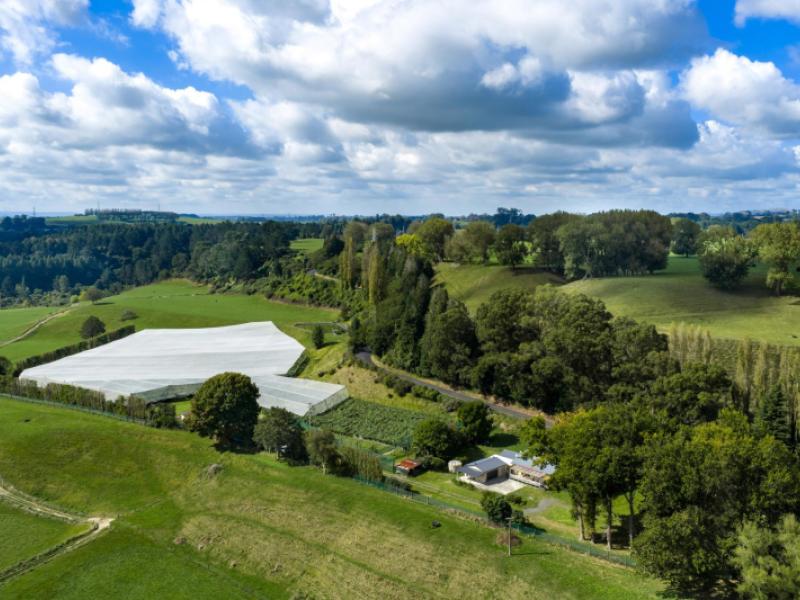 1151-oreipunga-road-maungatautari