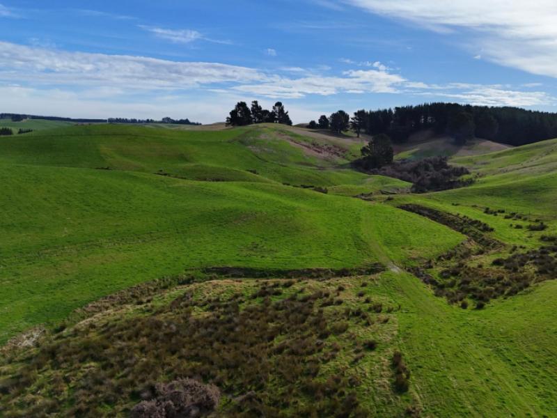 glendhu-road-mataura