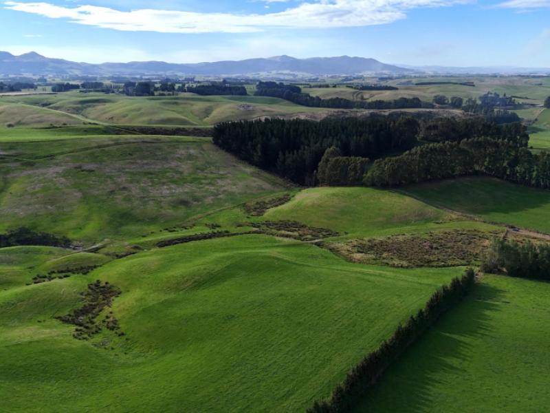 glendhu-road-mataura