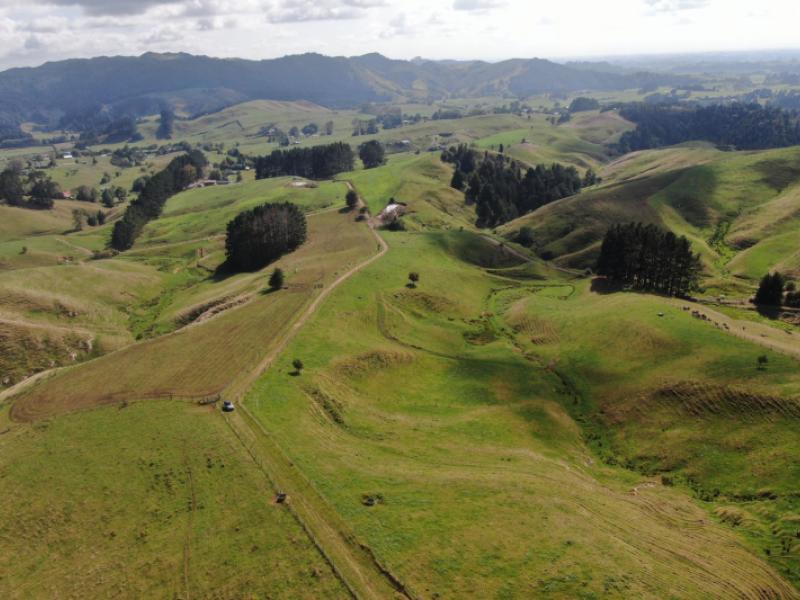 1026-limeworks-loop-road-karamu