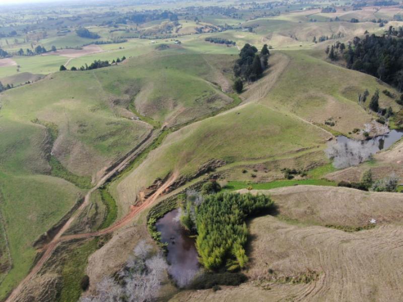 1026-limeworks-loop-road-karamu