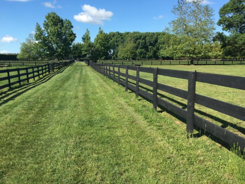 598-marychurch-road-matangi