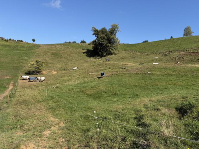 284-owaikura-road-otorohanga