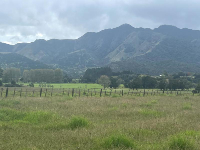 3567-mangakahia-road-poroti