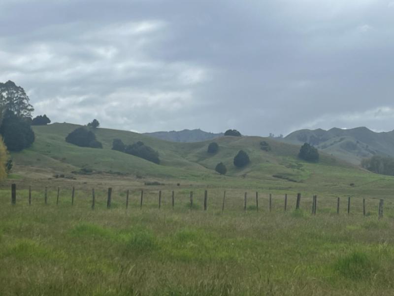 3567-mangakahia-road-poroti