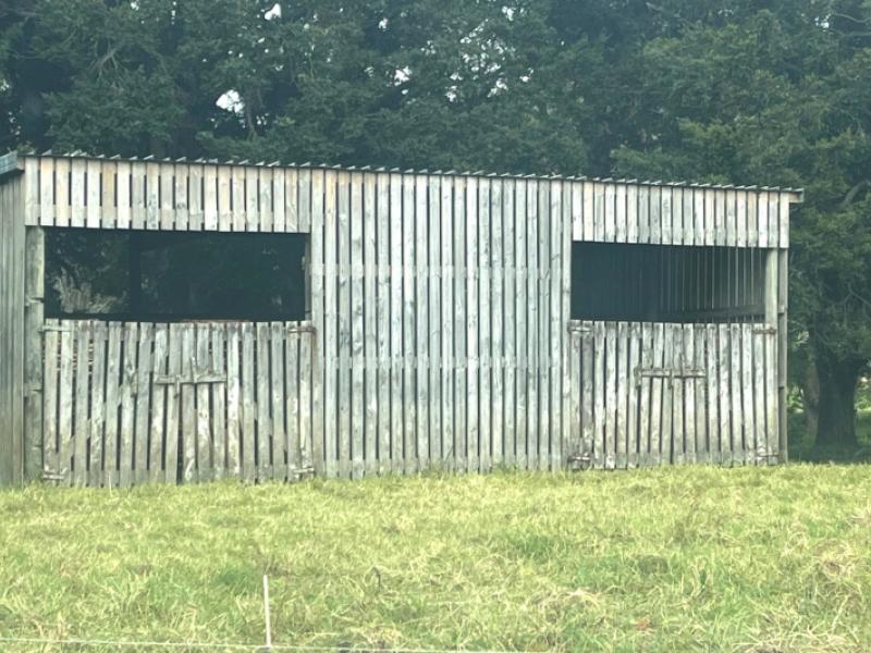 3567-mangakahia-road-poroti