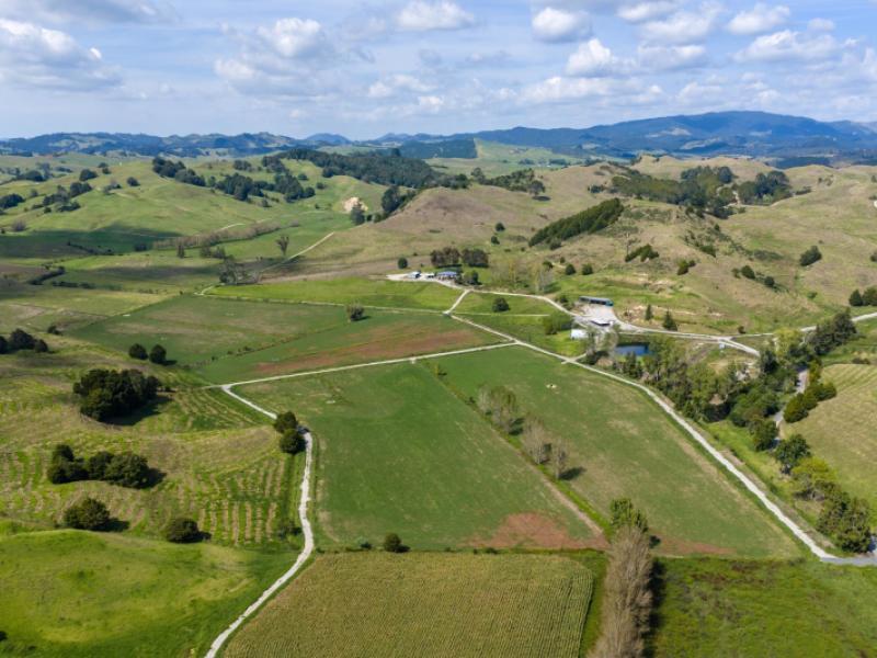 95-mason-road-whangarei-surrounds