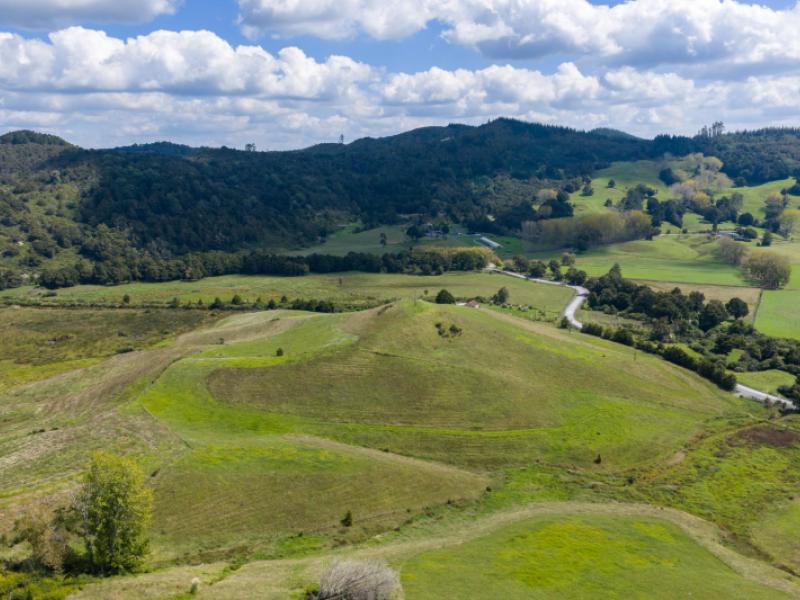 mason-road-whangarei-surrounds