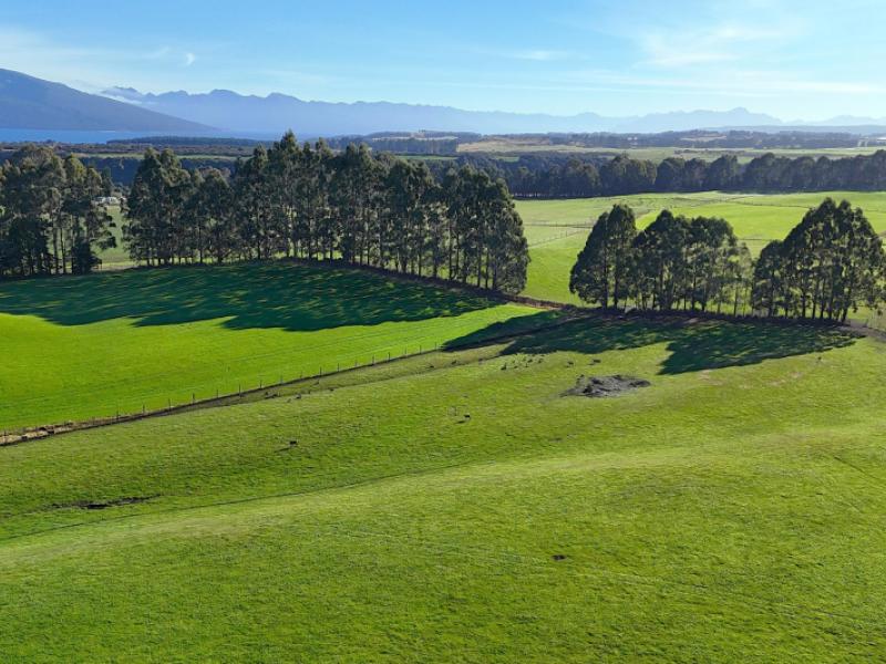 140-tutoko-lane-te-anau