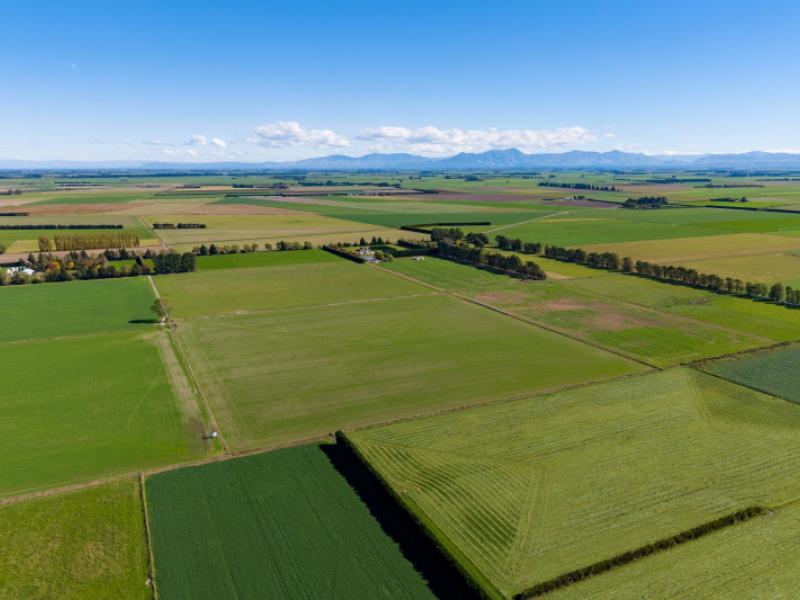 270-and-280-tinwald-westerfield-mayfield-road-tinwald