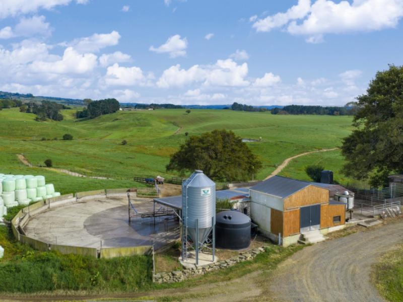 18-hodgson-road-te-pahu