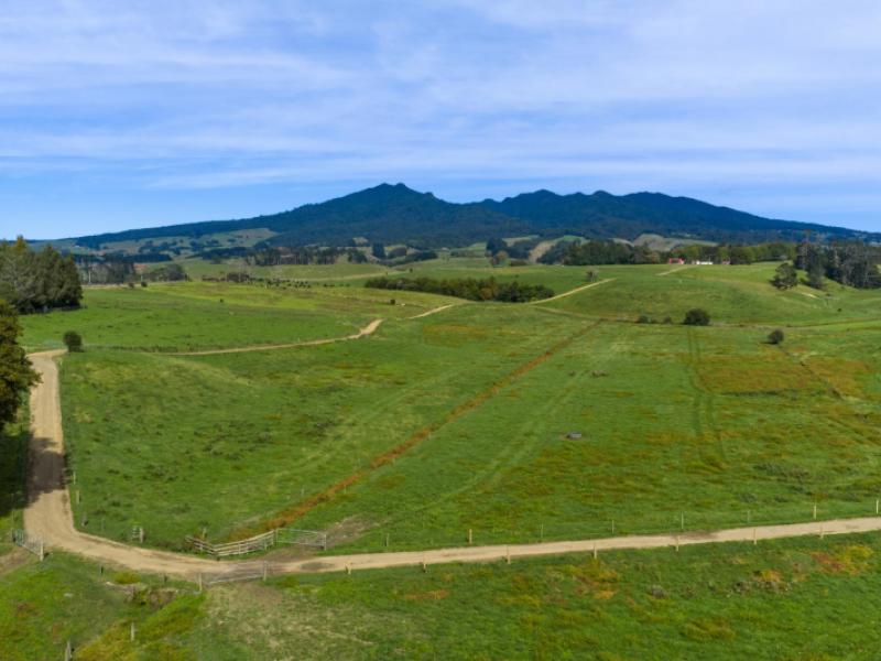 18-hodgson-road-te-pahu