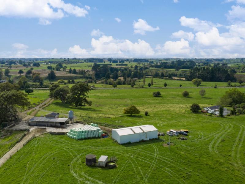 18-hodgson-road-te-pahu