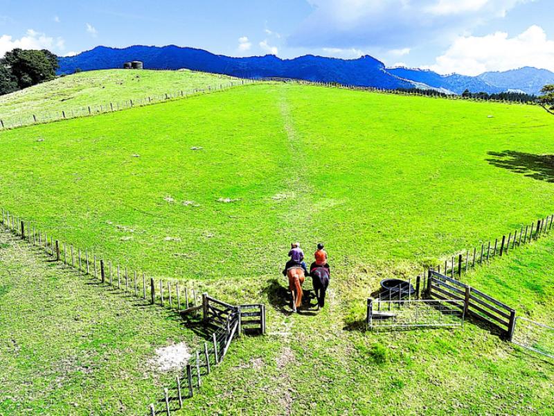 1524-kirikopuni-valley-road-dargaville
