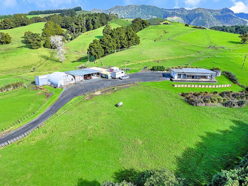 1524-kirikopuni-valley-road-dargaville