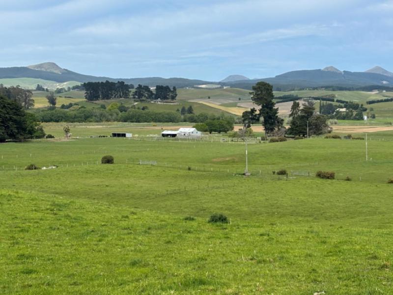 blacks-road-palmerston