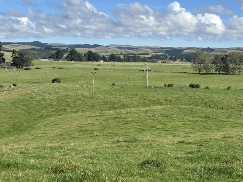 blacks-road-palmerston