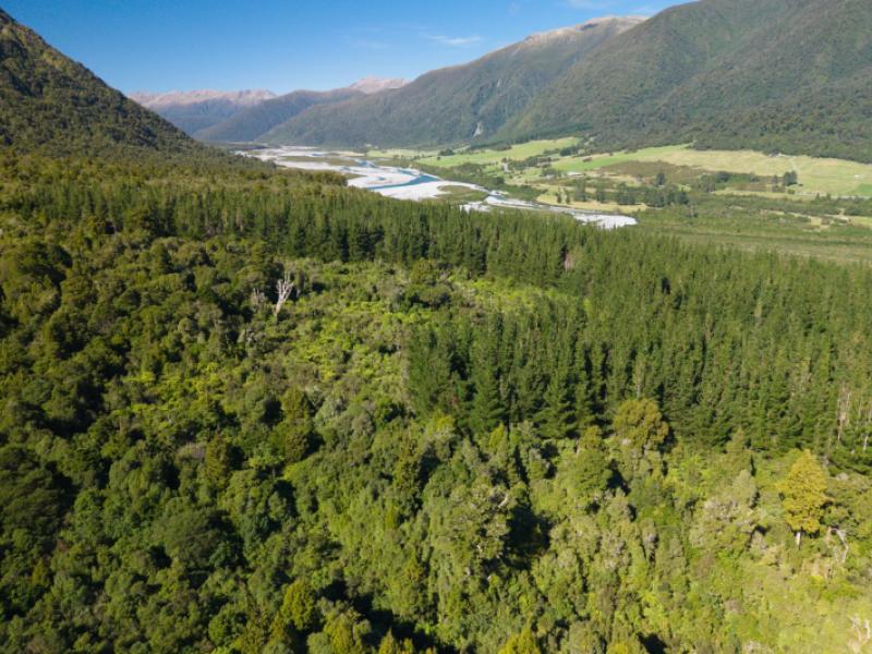 bell-hill-road-inchbonnie