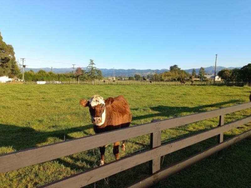 381a-park-road-carterton