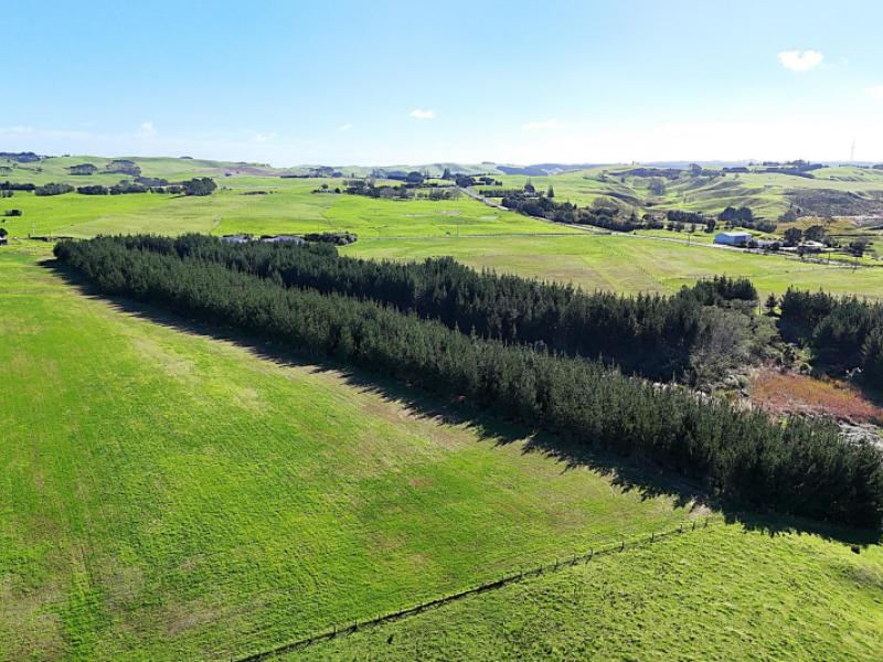 413a-baylys-coast-road-dargaville