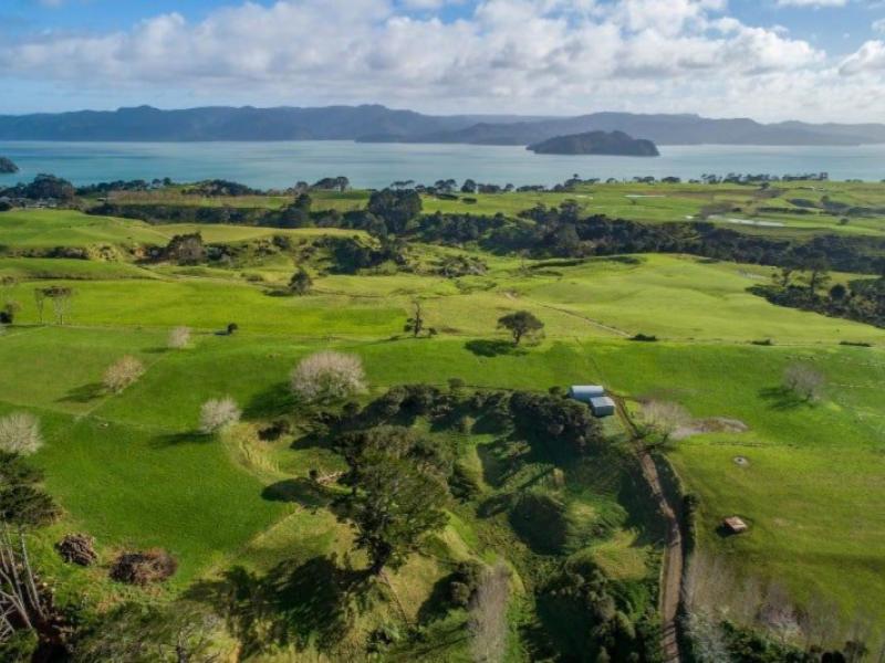 41-marshall-road-manukau-heads