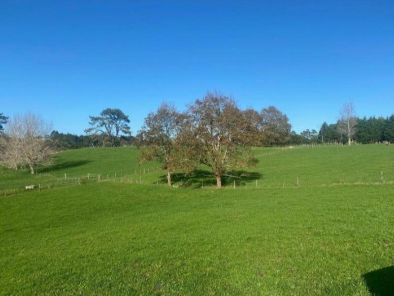 41-marshall-road-manukau-heads