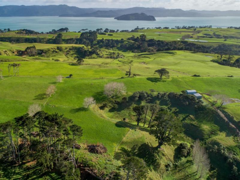 41-marshall-road-manukau-heads