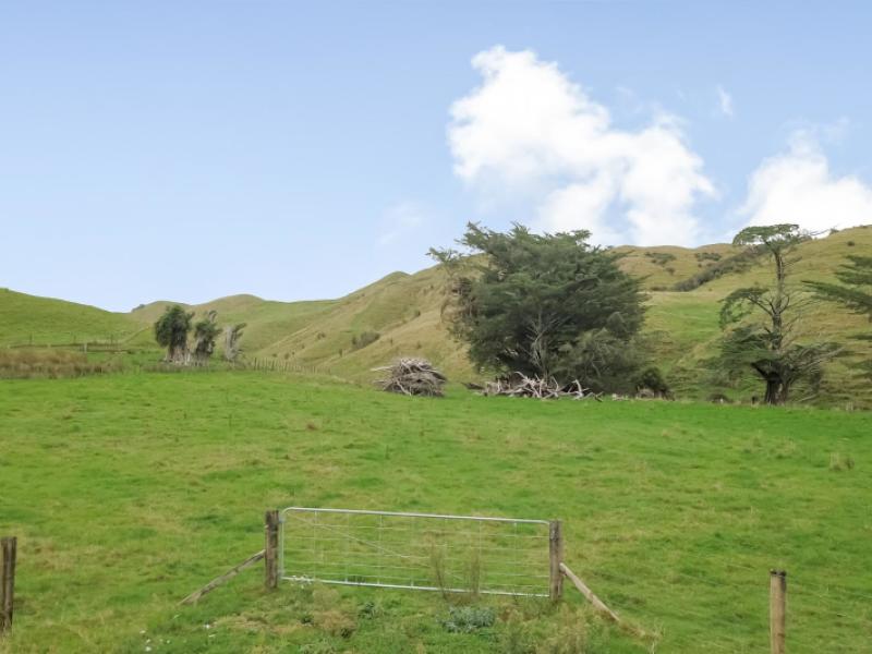 420-mangaoranga-road-eketahuna