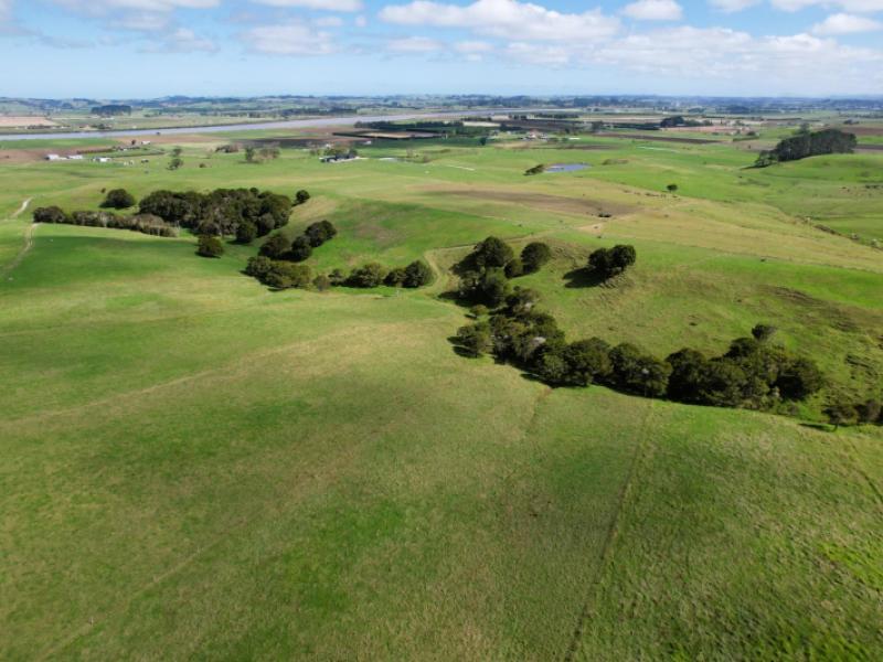 6320-state-highway-12-dargaville