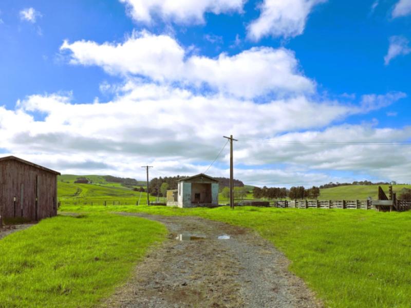 6320-state-highway-12-dargaville