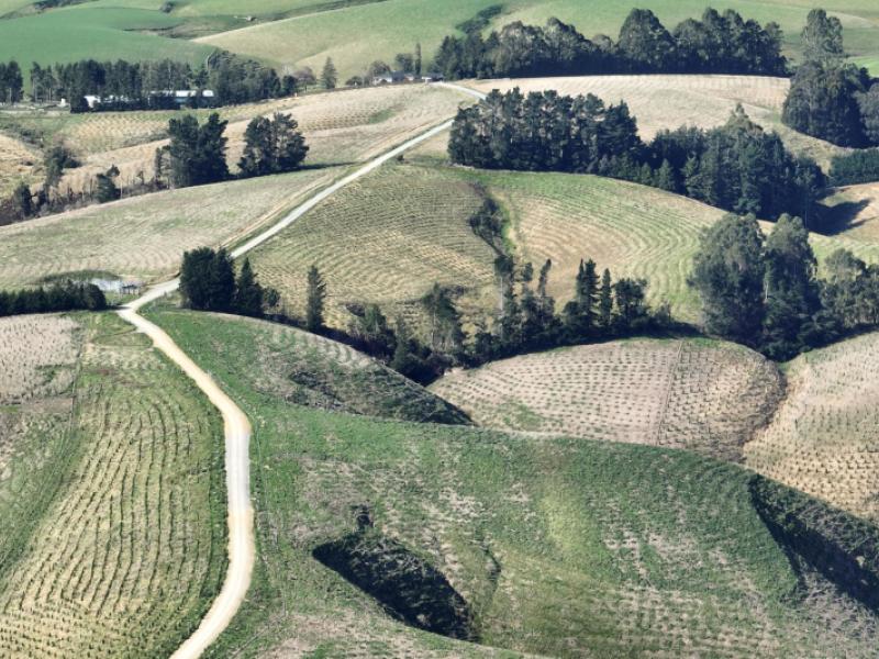 174-mcculloch-road-awamangu