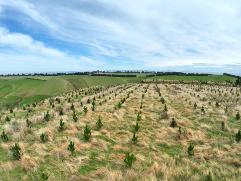 174-mcculloch-road-awamangu