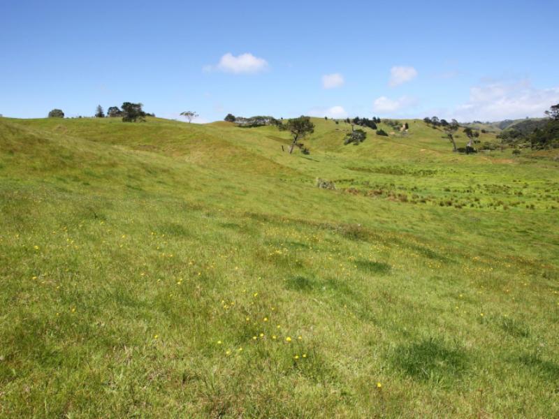 111-hamlin-road-pollok