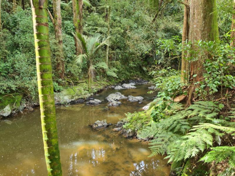 lot-1-675-gorge-road-maungaturoto