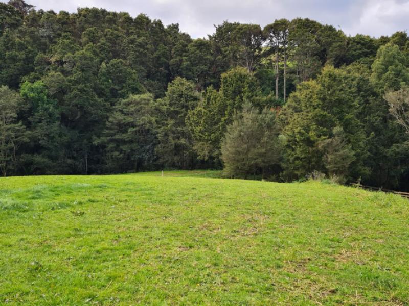 lot-1-675-gorge-road-maungaturoto