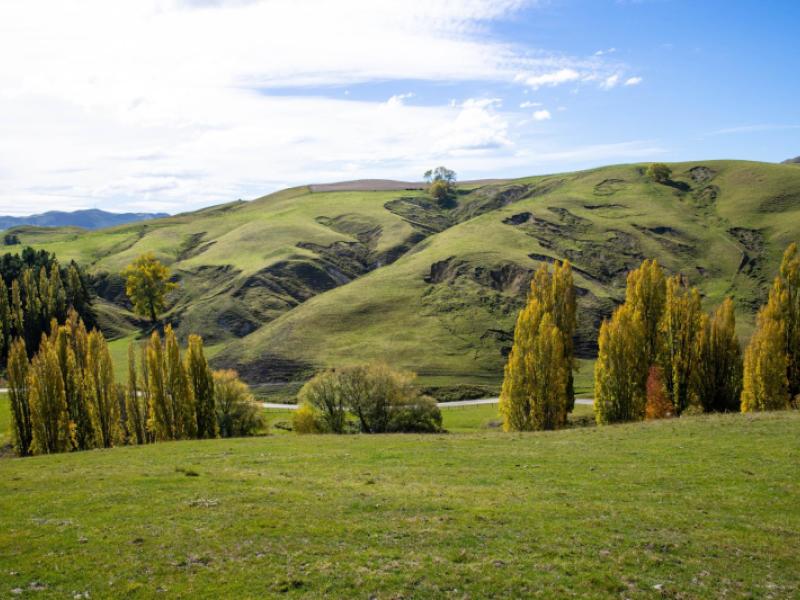 81-mackenzie-road-kahuranaki