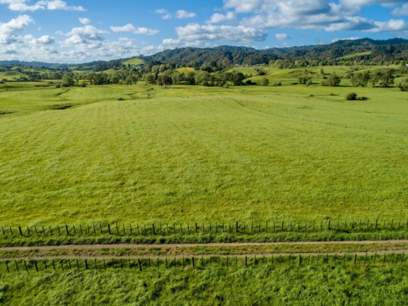 125-wilson-road-hunua