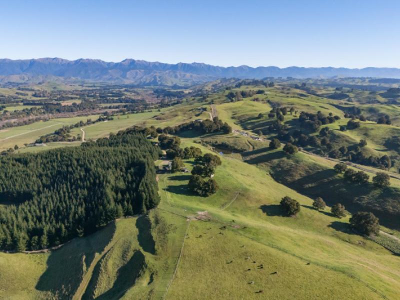 613-blackburn-road-ongaonga
